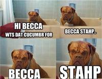 Stahp