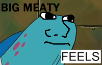I Know That Feel Bro