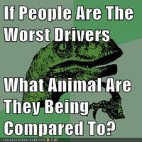 Philosoraptor