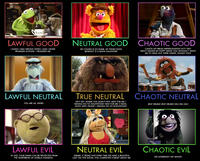Alignment