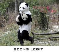 Seems Legit / Sounds Legit