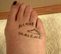 Ah, The Scalene Triangle