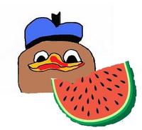 Dolan
