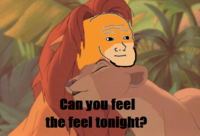 I Know That Feel Bro