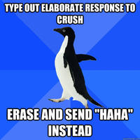 Socially Awkward Penguin