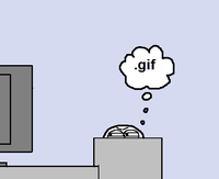 Computer Reaction Faces