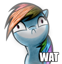 Pony Reactions