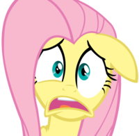 Pony Reactions