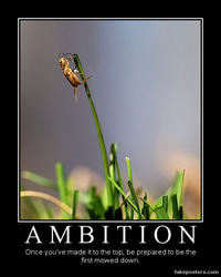 Demotivational Posters