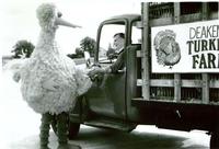 Fired Big Bird / Mitt Romney Hates Big Bird