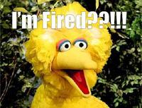 Fired Big Bird / Mitt Romney Hates Big Bird