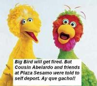 Fired Big Bird / Mitt Romney Hates Big Bird