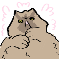 Colonel Meow