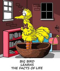 Fired Big Bird / Mitt Romney Hates Big Bird
