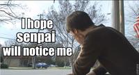 I Hope Senpai Will Notice Me