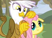 Shipping