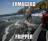 Ermahgerd