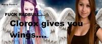 Amanda Todd's Death