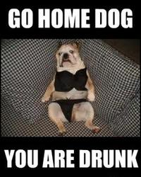 Go Home, You Are Drunk