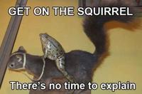 There's No Time To Explain