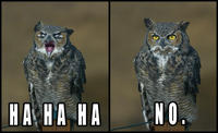 O RLY?
