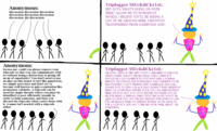 4chan