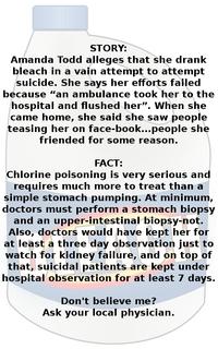 Amanda Todd's Death