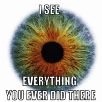 I See What You Did There