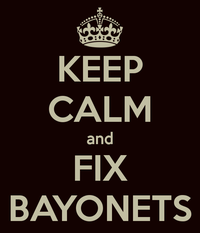 Horses and Bayonets