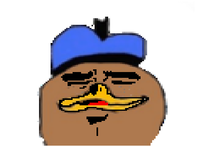 Dolan