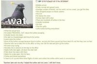 4chan