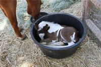 If It Fits I Sits