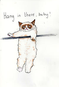 Grumpy Cat