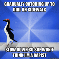 Socially Awkward Penguin