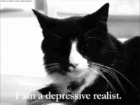 Henri, Le Chat Noir