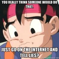 Just Go On The Internet and Tell Lies