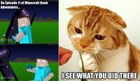 I See What You Did There