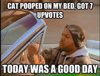 It Was A Good Day