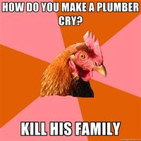 Anti-Joke Chicken