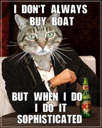 I Should Buy a Boat Cat