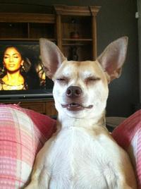 Perfectly Timed Photos