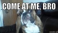 COME AT ME BRO