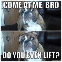 COME AT ME BRO