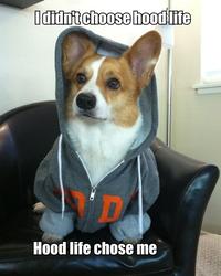 I Didn't Choose The Thug Life, The Thug Life Chose Me