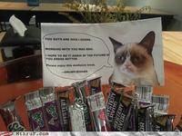 Grumpy Cat