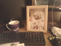Astronaut Sloth