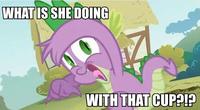 Pony Reactions