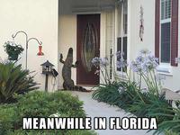 Meanwhile in X