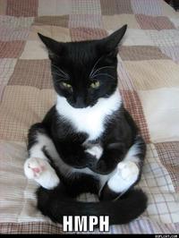 LOLcats