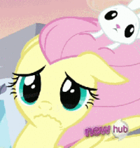 Pony Reactions